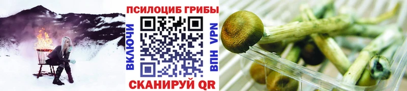 Псилоцибиновые грибы GOLDEN TEACHER  закладка  Тобольск 